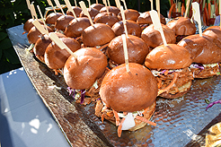 LAUNCH TO VANDERBILT